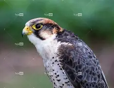 衭??潏x鹘廭璦?[匵^i爥輠€3蔅z躸璡J'嚩q瀏宪遃炽l?婬膦R?x頄乪n悪的简单介绍-九游
